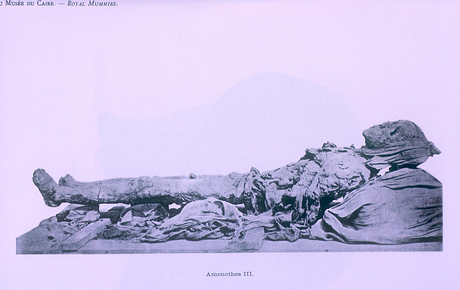 Mummy of Amenhetep III.