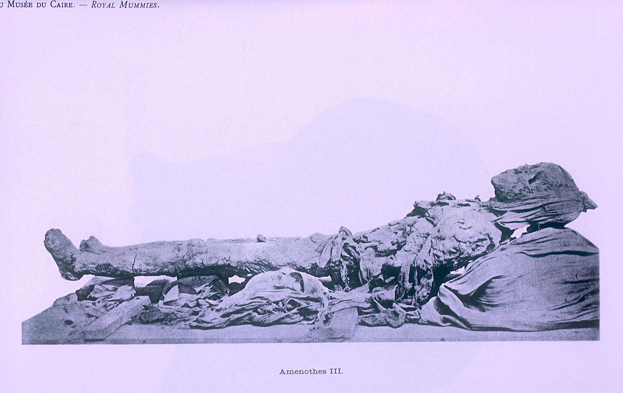 Mummy of Amenhetep III.