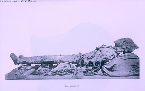 Mummy of Amenhetep III.